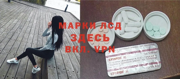 стафф Алзамай